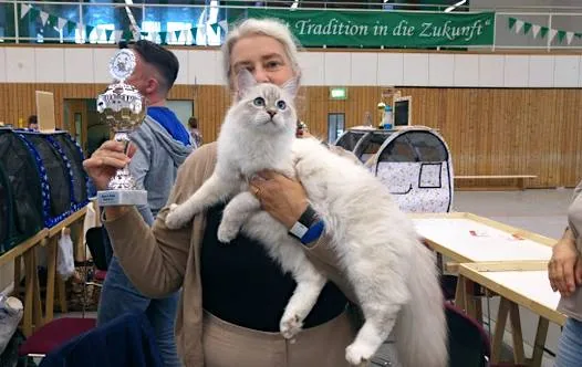 Alexander Graf Neva 8 months - Felina e.V. Oktober 20/21 2018, Altlandsberg: Best in Show Junior