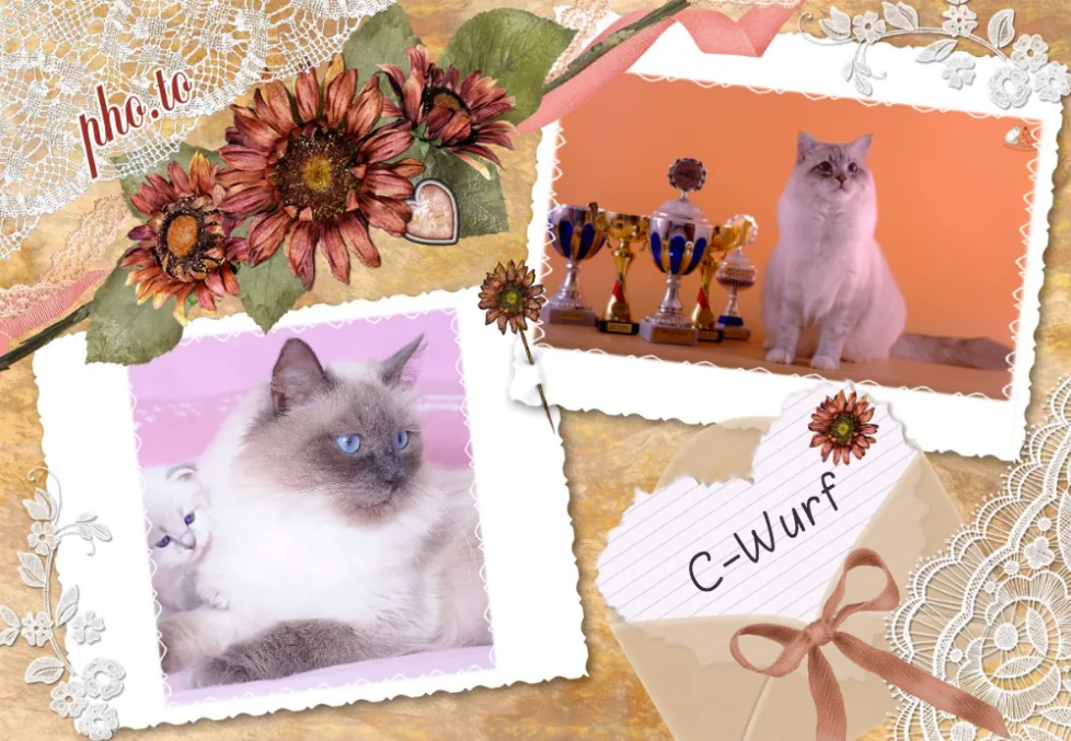 Mother: Ch. Happy Velikii Ohotnik Father: Gr.I.Ch. Ivar Chudo Sineglazoie