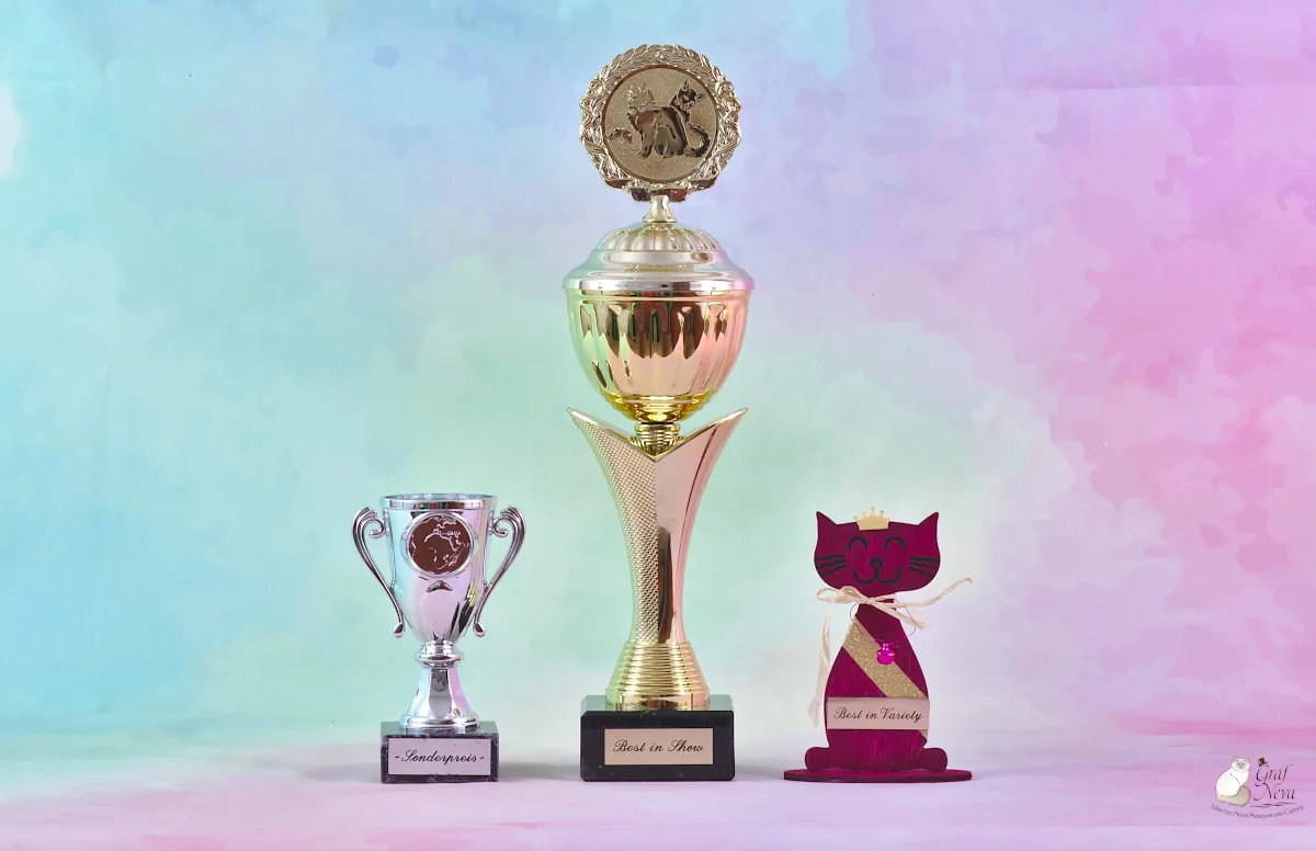 Ivar Chudo Sineglazoie, 2 years - Felina e.V. Oktober 20/21 2018, Altlandsberg: Best in Show, Best in Variety, Sonderpreis