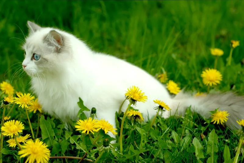 Klaudya 6 months