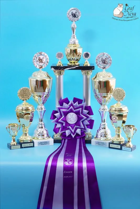 Klaudya Chudo Sineglazoie 💖💖💖 11,5 months. Felina e.V. Mellensee Zossen Sep 30 - Oct 1 2017: Special award both days, Best in Show both days, Best of Best both days, Best over all first day 🏆🏆🏆🏆🏆🏆🏆