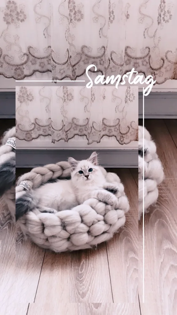 Uma Graf Neva, 3 months