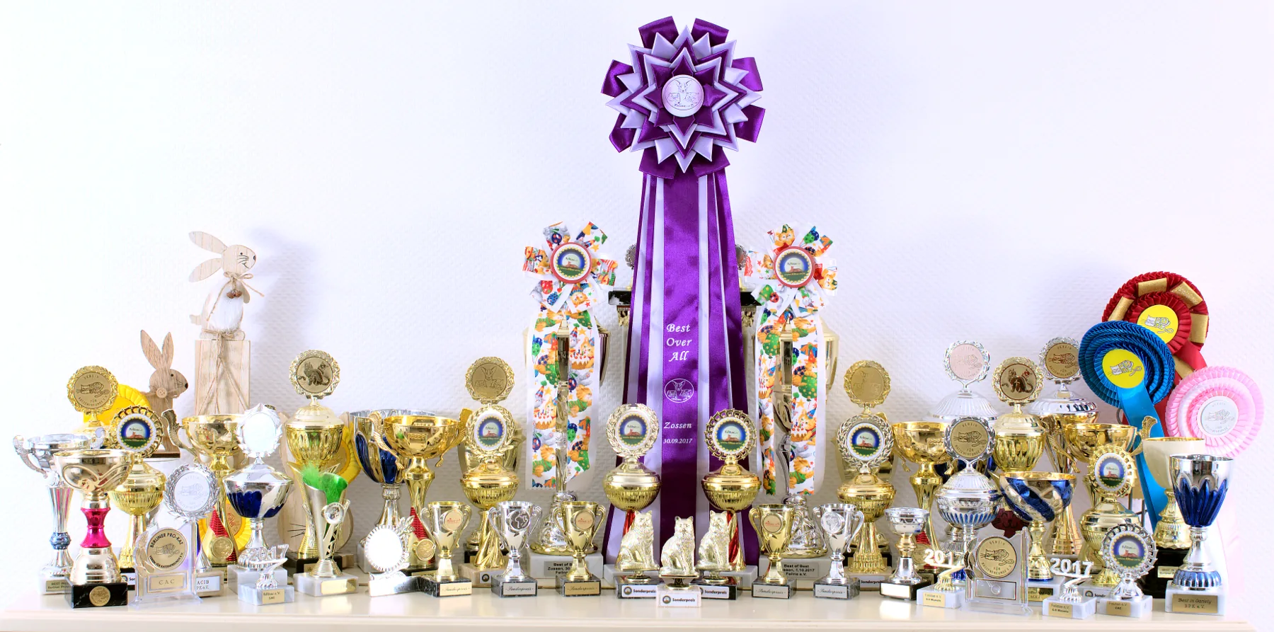 Graf Neva cattery awards